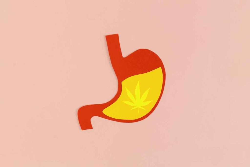 marijuana in stomach to treat IBD