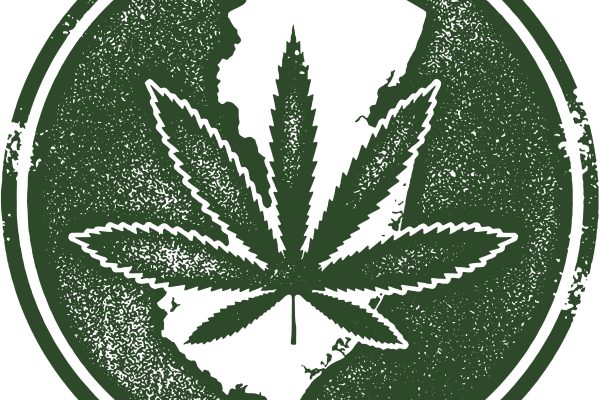 Navigating Reciprocity: Can NJ Patients Use Medical Cannabis in Other States?