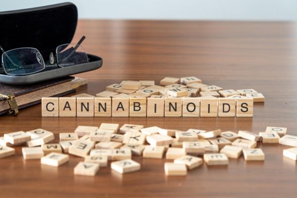 Beyond THC: The Other Cannabinoids in Cannabis Explained